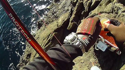 【伊豆の地磯】河津町『タルガノ』編　後編　今日もメジナ釣り