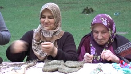 Isırgan Otuyla Organik Gıdadan, Organik Giyime