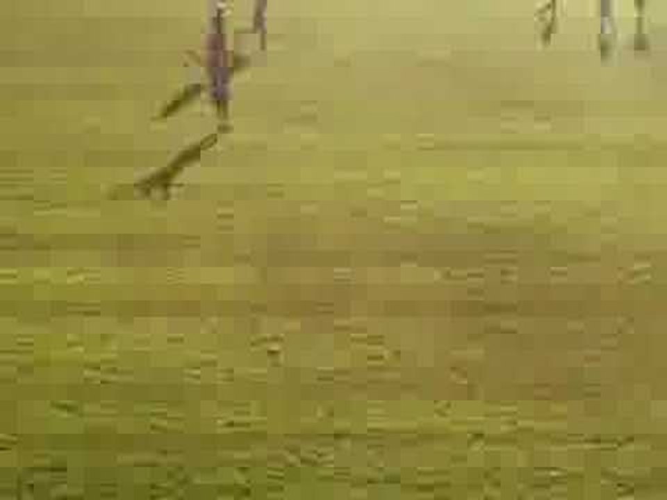 Fecha 21 - Dep. Armenio 1 vs Atlanta 1 - Gol de González