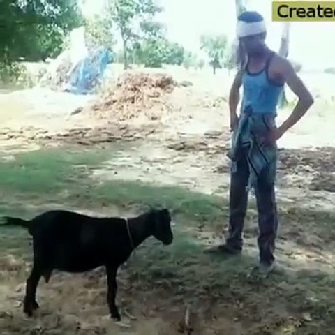 One Side Lover