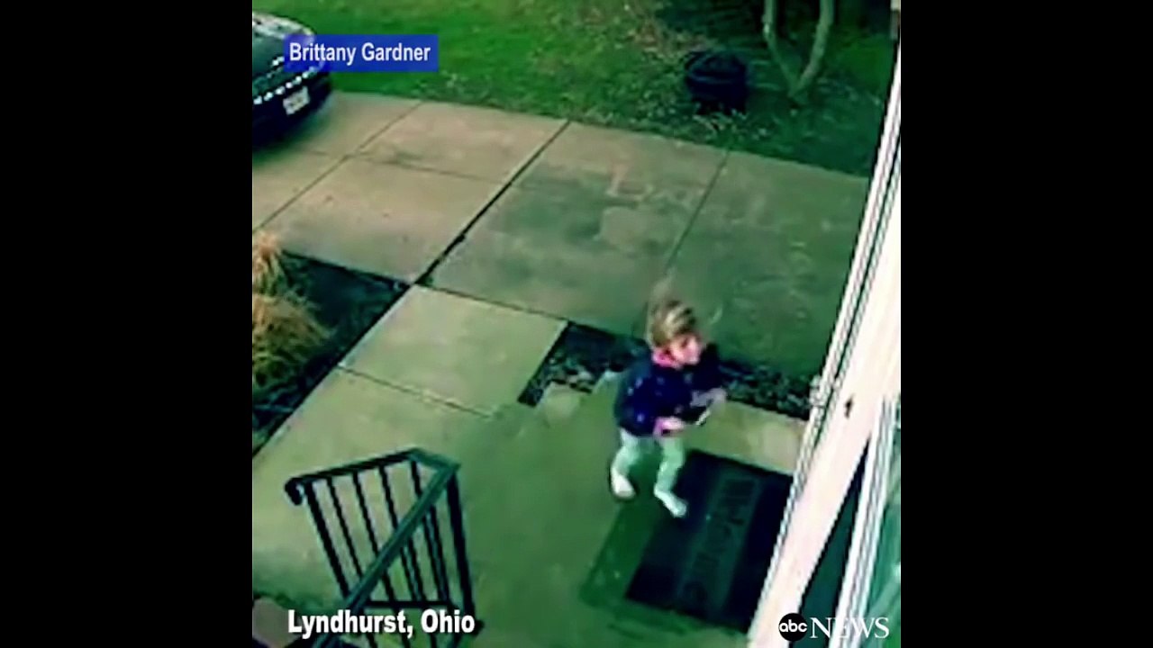 ULTIMATE VERSION Try Not to Laugh or Grin While Watching This