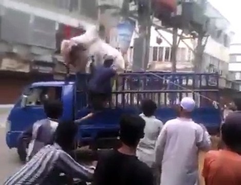 Cow jump from the Suzuki during Unloading 2016