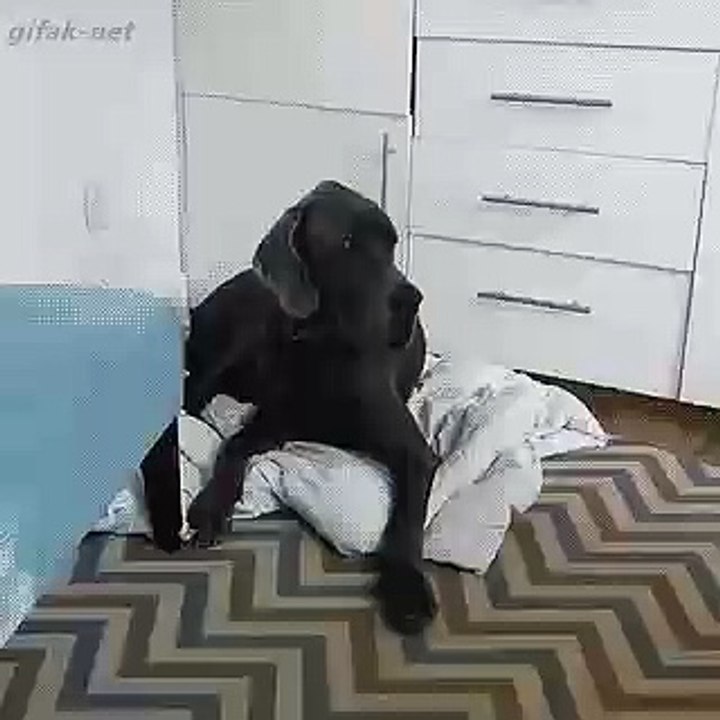 Funny