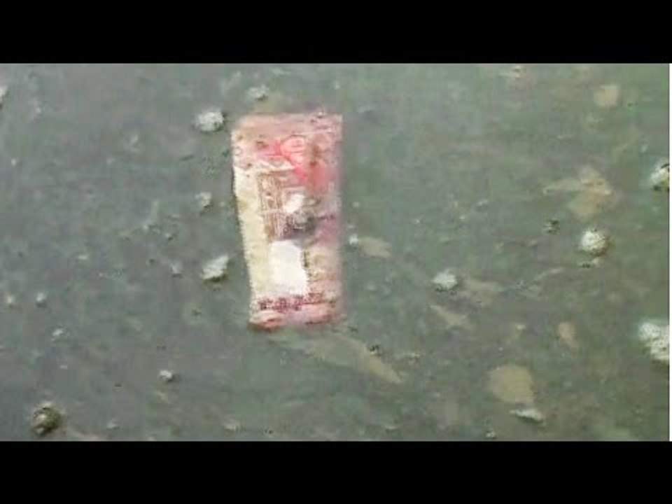 1000 note found floating on Ganga river in Uttar Pradesh | Oneindia News
