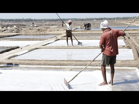 Salt selling at Rs 400 in NCR, Government denies shortage | Oneindia News
