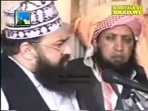Fazail e Ameer Muawiyah Radhi Allaho Anho by Peer Syed Irfan Shah Mash'hadi Moosavi Kazami Sahib