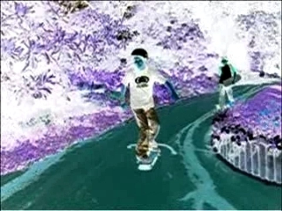 we are the birds and the bees sk8 and guitar