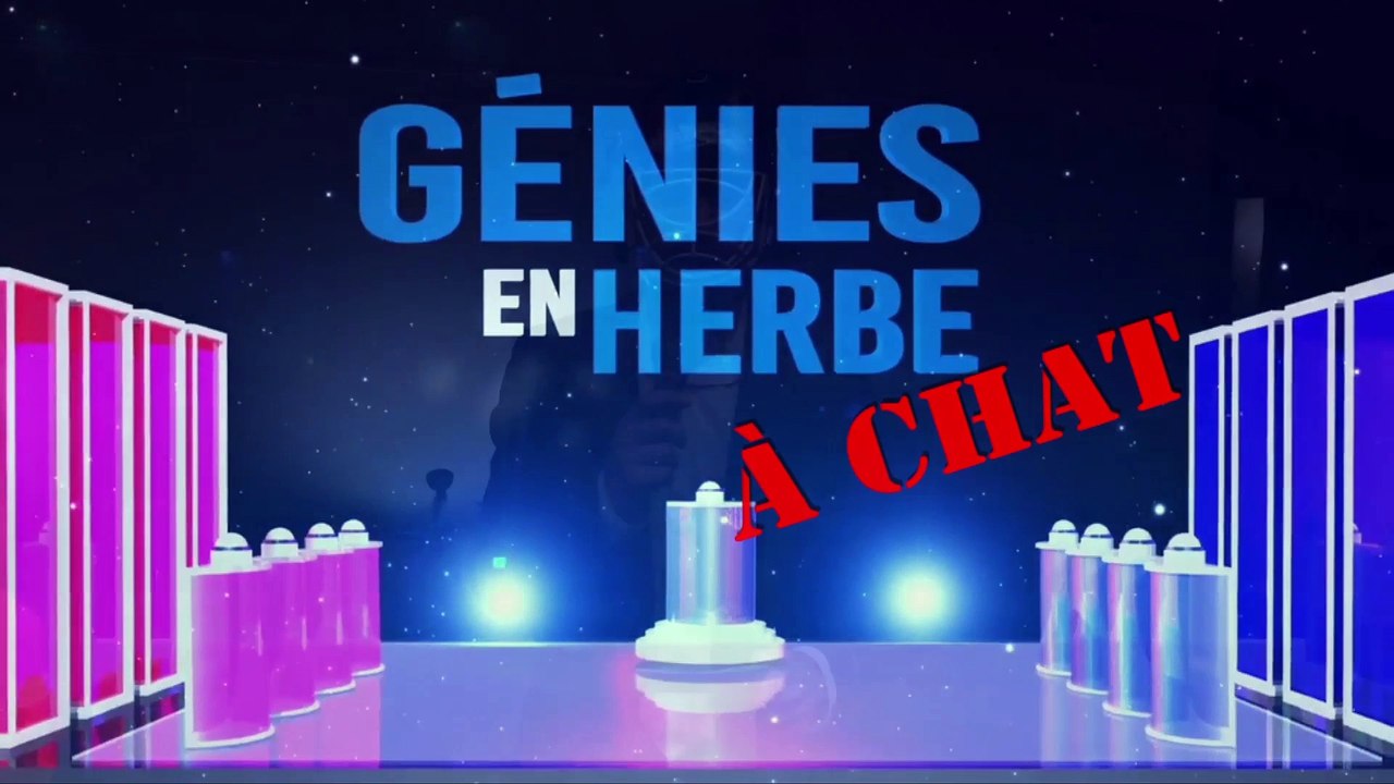 DD La Websérie - Épisode 12