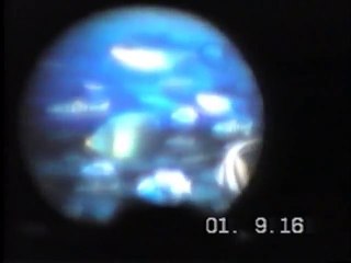 山口県☆山口きらら博③レーザー光線ショー.