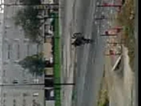 cho de goidon o mordacs