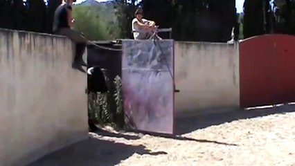 At ve Boğa Dövüşü inanılmaz-görüntüler -atın asilligi