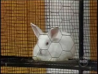 The All New Let's Make A Deal Big Deal $9,750