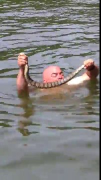 Ce fou chope un serpent à mains nues dans l'eau !