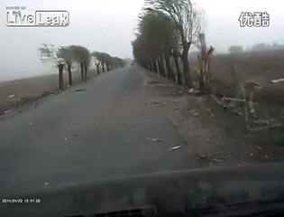 Dangerous Atmospheric Electricity Falls on Earth