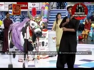 Jeeto Pakistan Eid Special Sell the Cow in Jeeto Pakistan Eid show