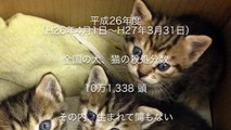 4.24 大阪大会 動物愛護プロレス関西初上陸！！プロレスリングゼロワン　(プロレス)