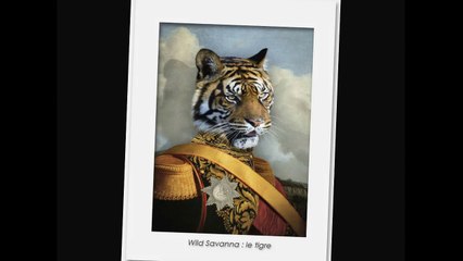 Portraits animaliers 2017