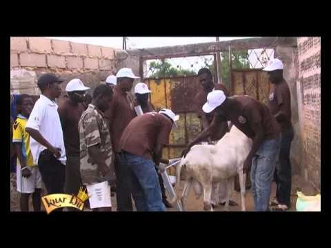 Khar Bii 2012 - Sélection Thiès