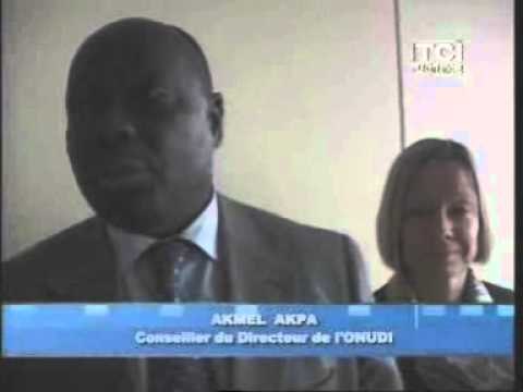 Rencontre entre le Ministre de l'artisanat et des PME et les responsables de l'ONUDI