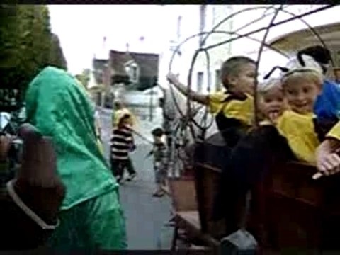 Maïs de Nice à Milly-la-Forêt