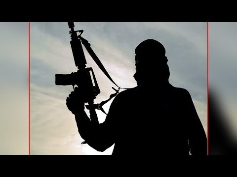Punjab on high alert after 12 Babbar Khalsa terrorists sneak into India | Oneindia News