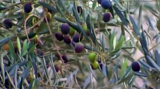 Lost Treasures Of Petra (SECRET ANCIENT HISTORY DOCUMENTARY) BestDramaTv.Net