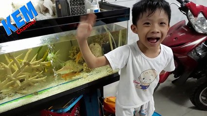 The gioi quanh be be ca canh cho be be kem cho ca canh an