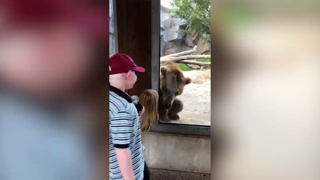 une partie de cache cache