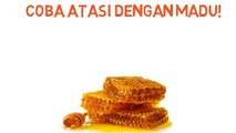 0816574300 Harg Madu Randu Asli