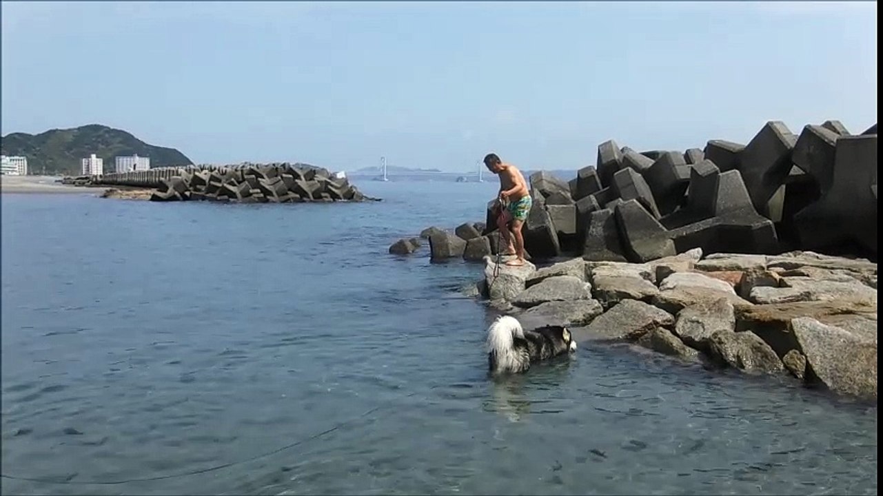 初泳ぎ
