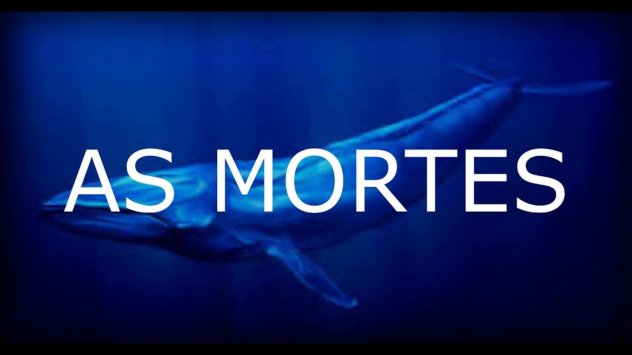 JOGO DA BALEIA AZUL CRISE NA WEB