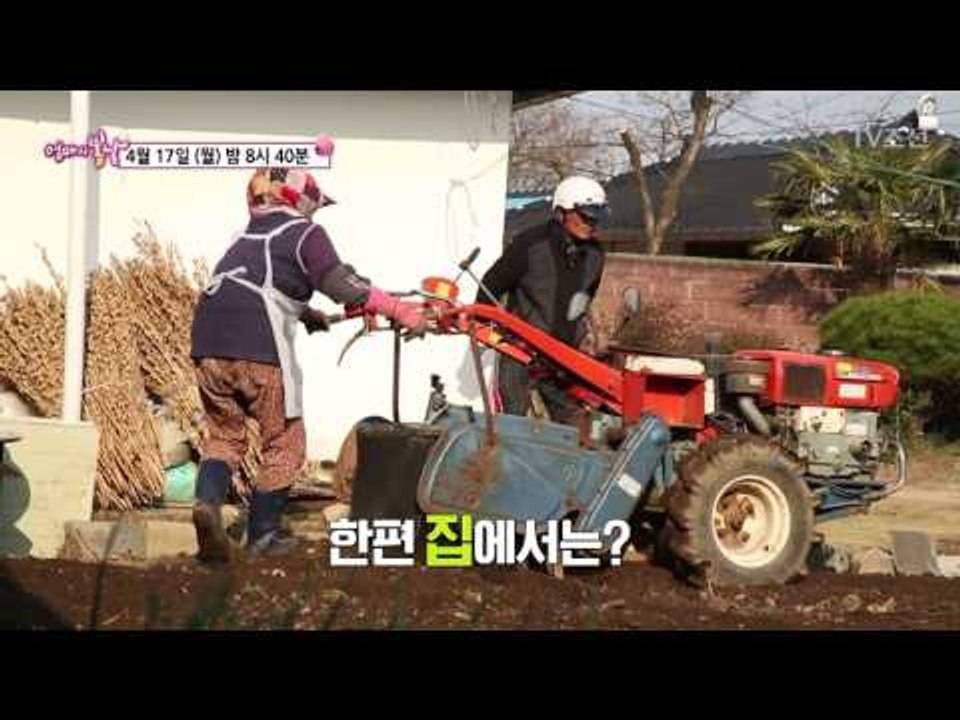 콩쥐 옥희 엄마와 베짱이 아빠_엄마의 봄날 85회 예고