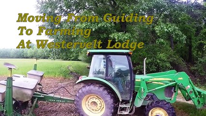 Planting corn for wildlife