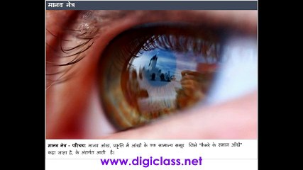 01MMC11 The Human Eye INTRODUCTION