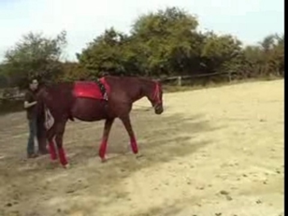 Longues renes cyrille