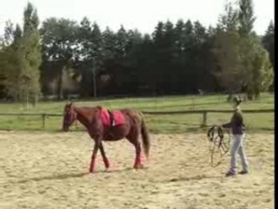 Pas, carré et arrêt