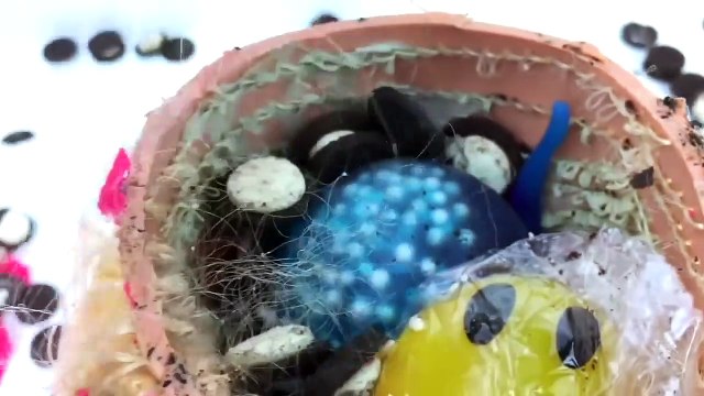 Awesome Oreo Challenge Cutting Open Mr Doh Wife Mrs Doh Brain Squ