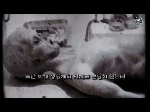 드디어 밝혀진 외계인의 기지, 51구역 [미스터리 로드 12회] #잼스터