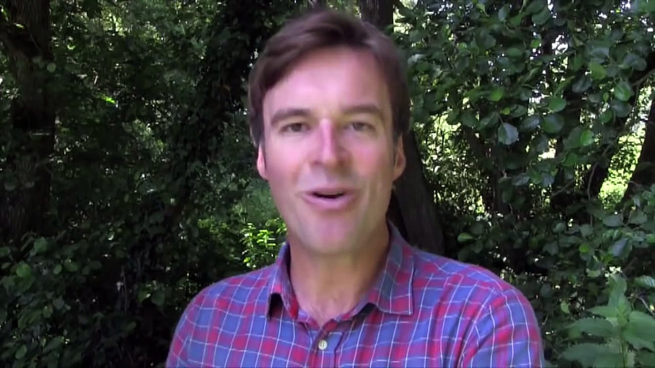 airgun- hunting rabbits with best airgun