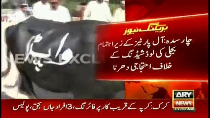 People in Charsadda protest in a Unique way with a Cow against WAPDA