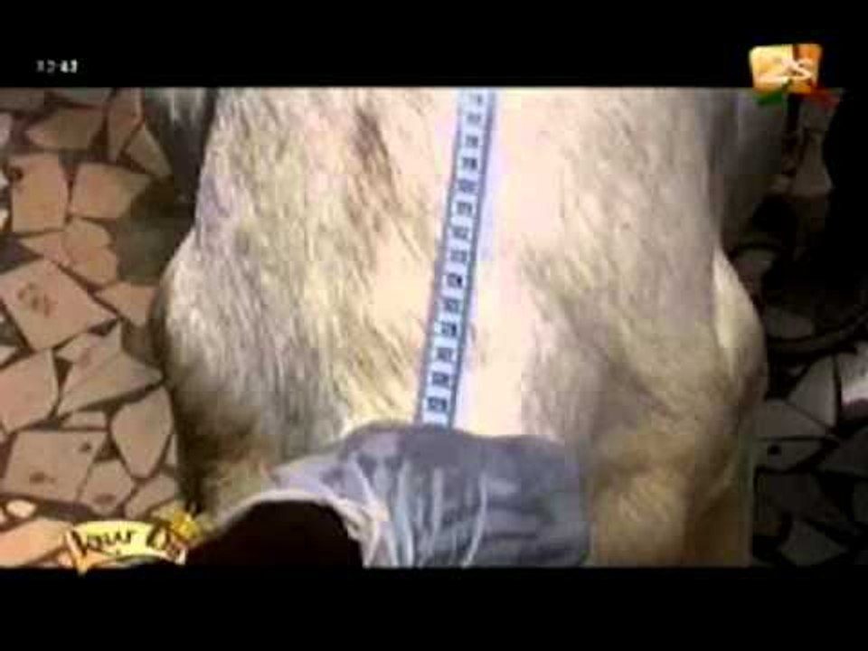 Khar bii - 27 Août 2012 - Partie 2