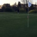 16/04/17 : Ermir Lenjani golfeur