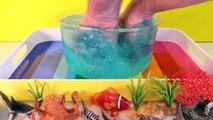 DIY SHARK Toys Slime Aquarium Fish Tank - Toy Sharks, Sea Anim