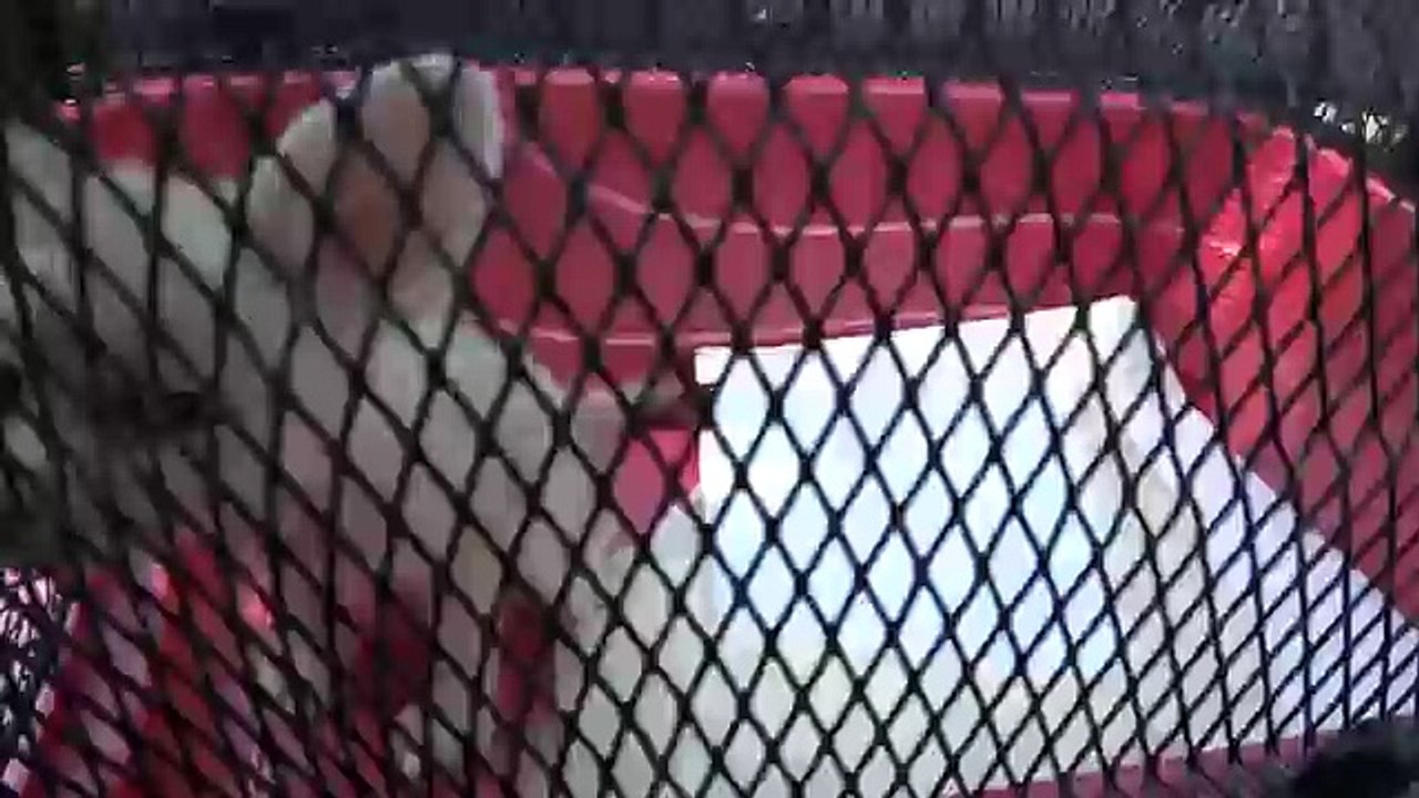 Baby Fennec Fox Does NOT Like Her New Carrier