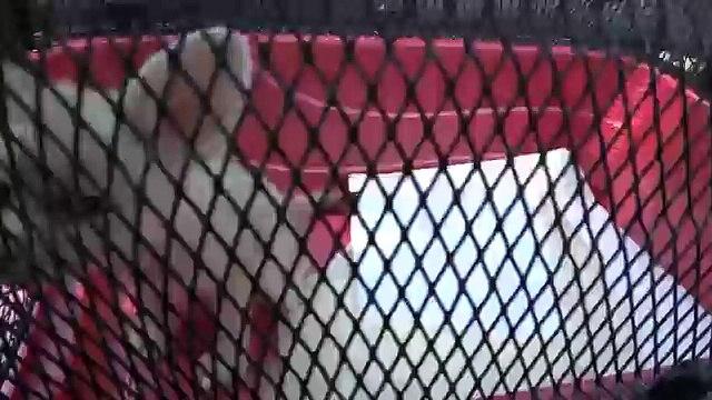 Baby Fennec Fox Does NOT Like Her New Carrier