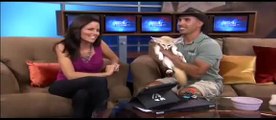 Zoo 4 U Fennec Fox Segment