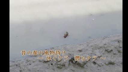 麻田義貴のカワイイ生き物 (3)