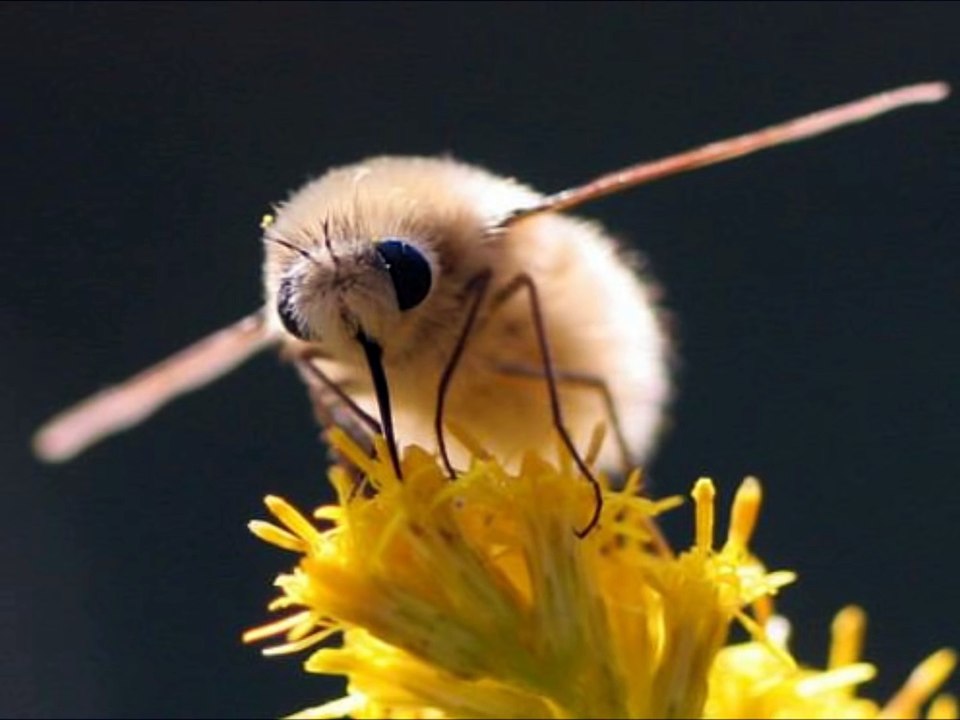 麻田義貴のカワイイ生き物 (6)