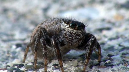 麻田義貴のカワイイ生き物 (10)
