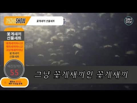 [병맛홈쇼핑] 게새끼말고 꽃게새끼 [판다쇼 10회] #잼스터